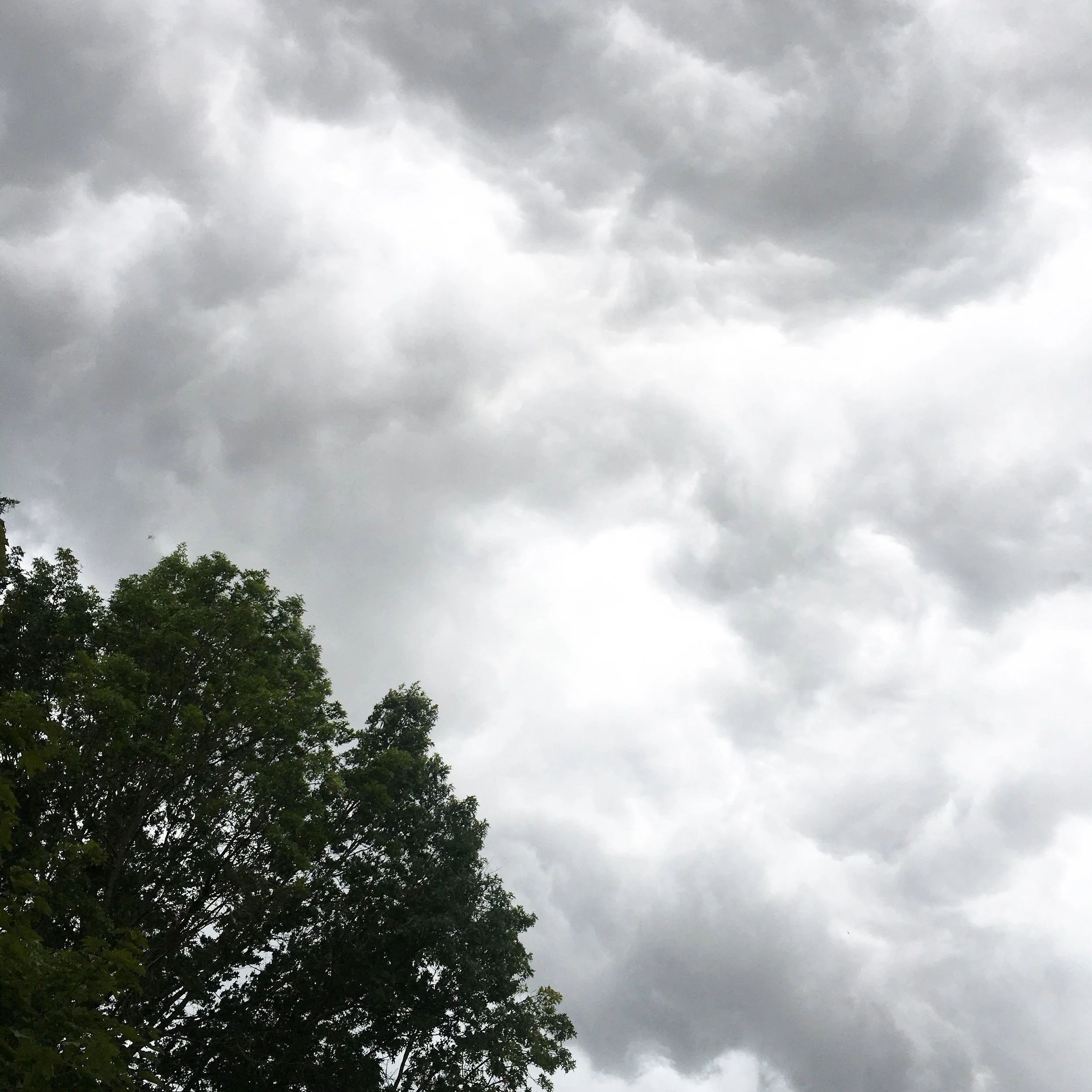 Hope Deferred on World Refugee Day