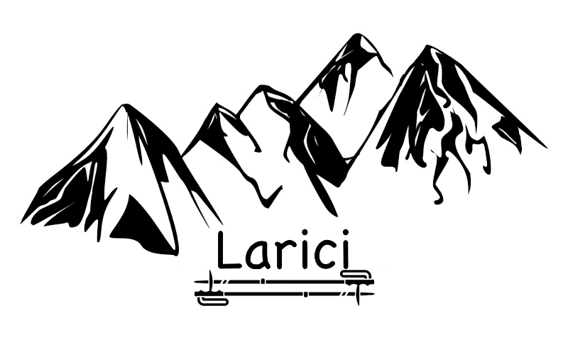 Larici logga stavar.jpg