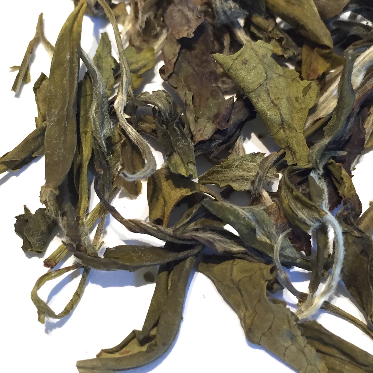 A picture of BAI MU DAN, Tea Starter Kit, Tea Zaanti 