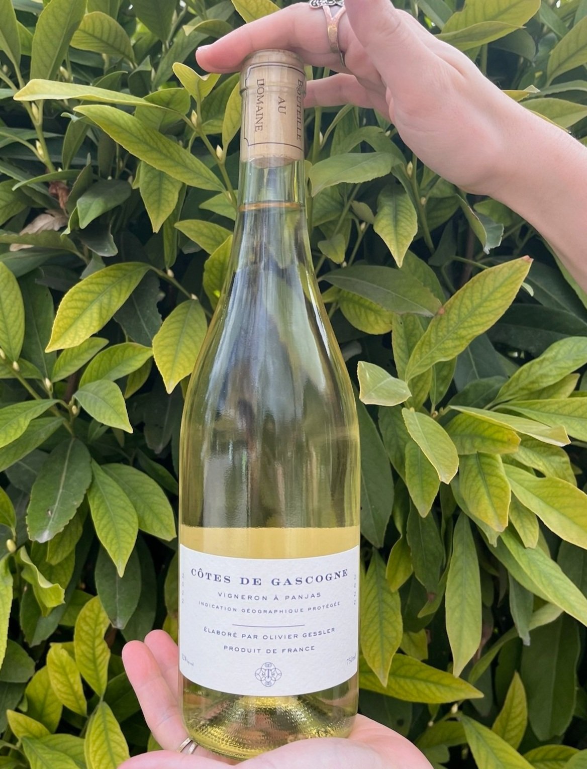 White - Mary Taylor Bordeaux Blanc | $49