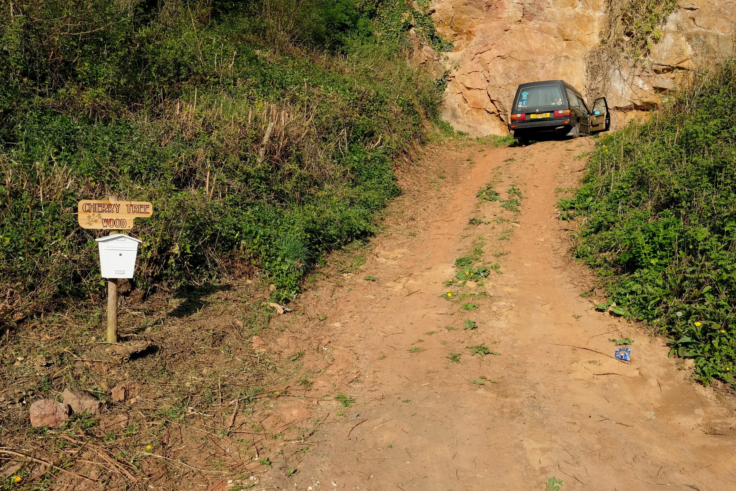 Disused quarry, Totnes