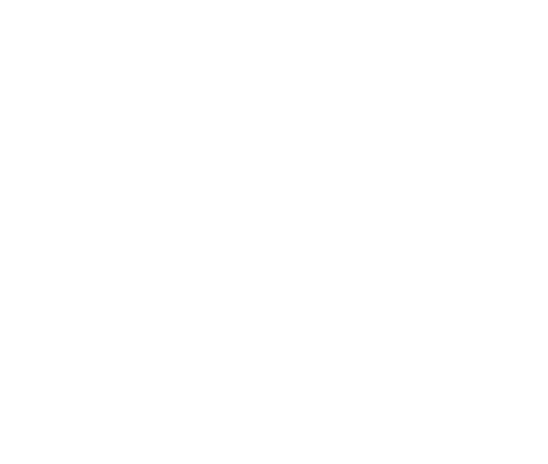 BSR Logo_whspc.png