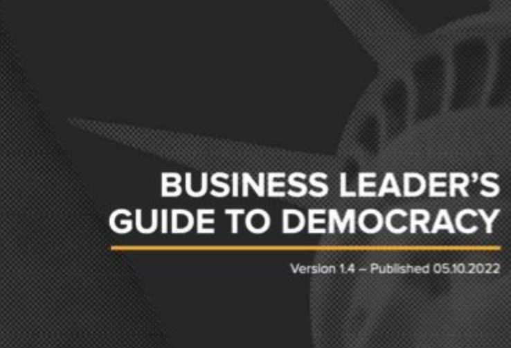 Business Leader’s Guide to Democracy