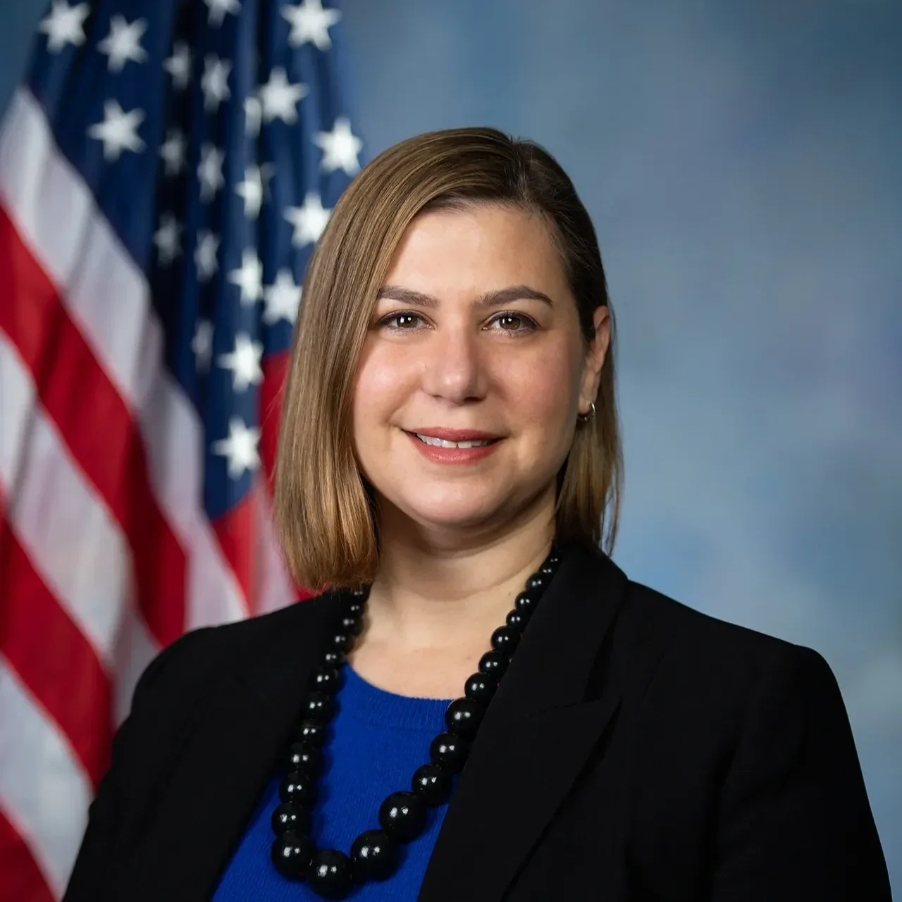 Elissa Slotkin, MI Senate
