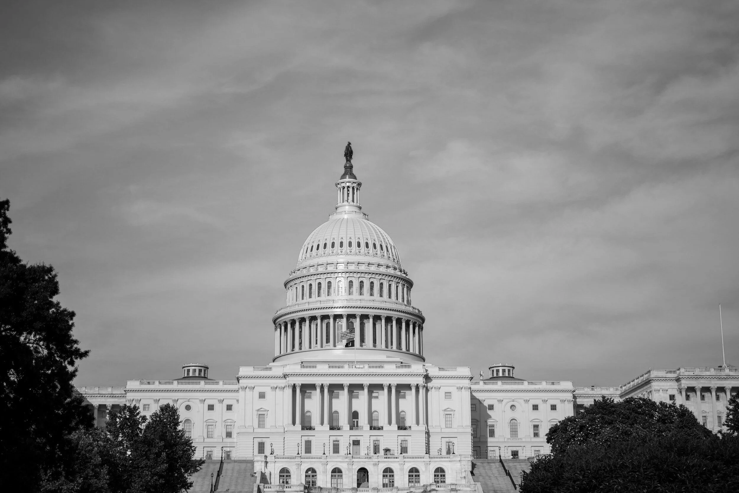 Leadership Now Project