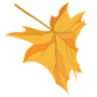local_maple syrup_michigan.png