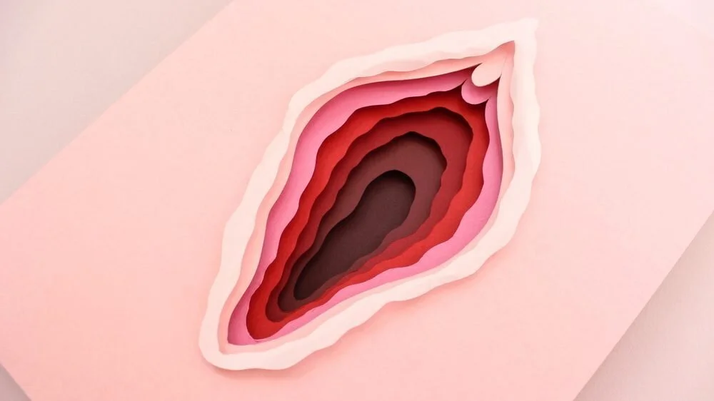 On Pelvic Floor, Pain and Presence 