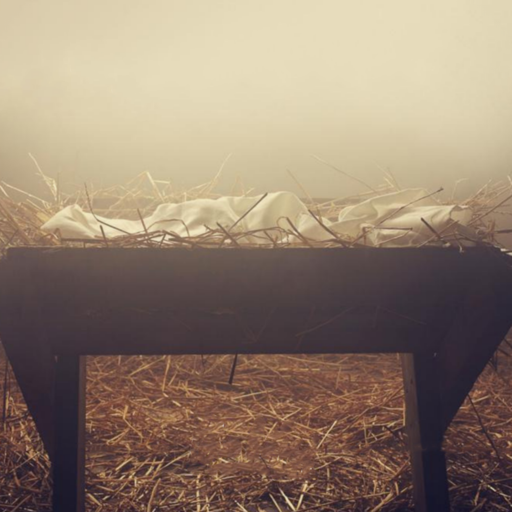 Empty Manger Christmas Caroling