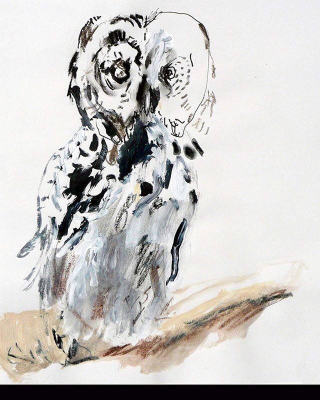 Owl.  Great Grey.  #owl #owlart #birdsofinstagram #birds #birdsofprey #birdart #drawing #naturedrawing #art #natureart #artistsoninstagram #chicagowomenartists #chicagoartist