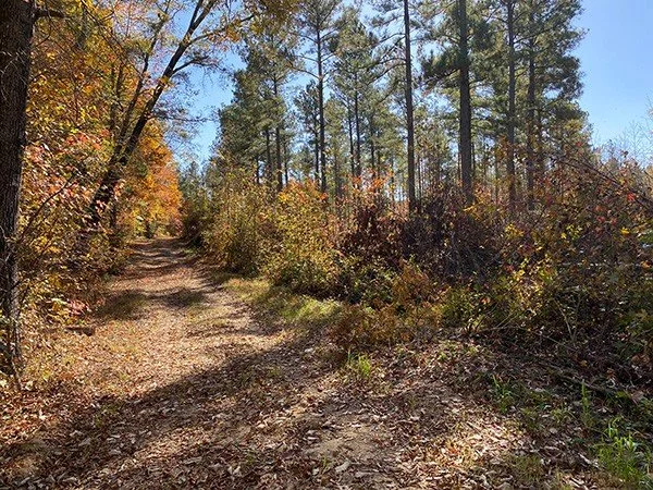 NWTF Virginia and DWR Advance Healthy Habitats in the Old Dominion