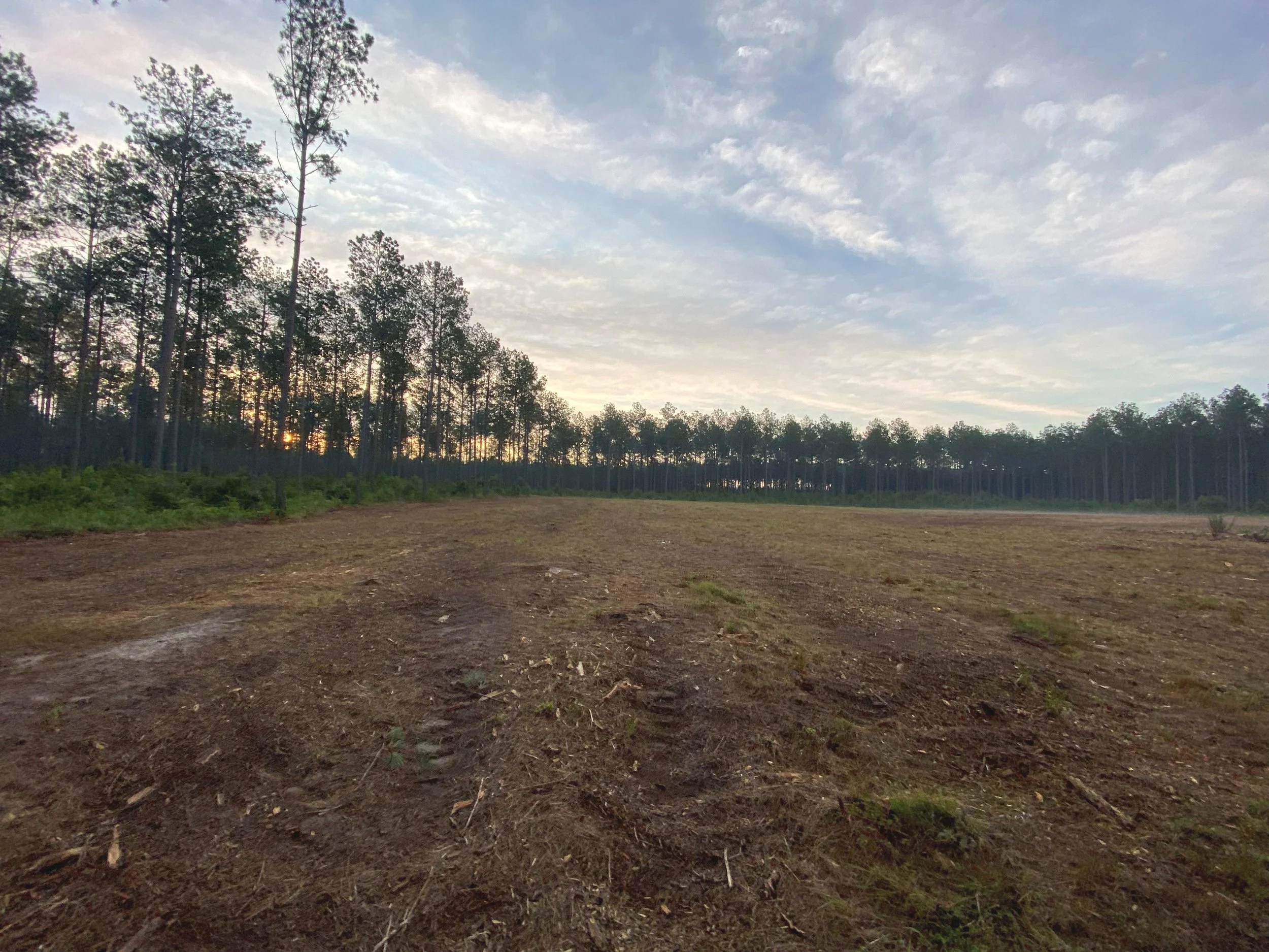 NWTF, Quail Forever Create Healthy Habitat