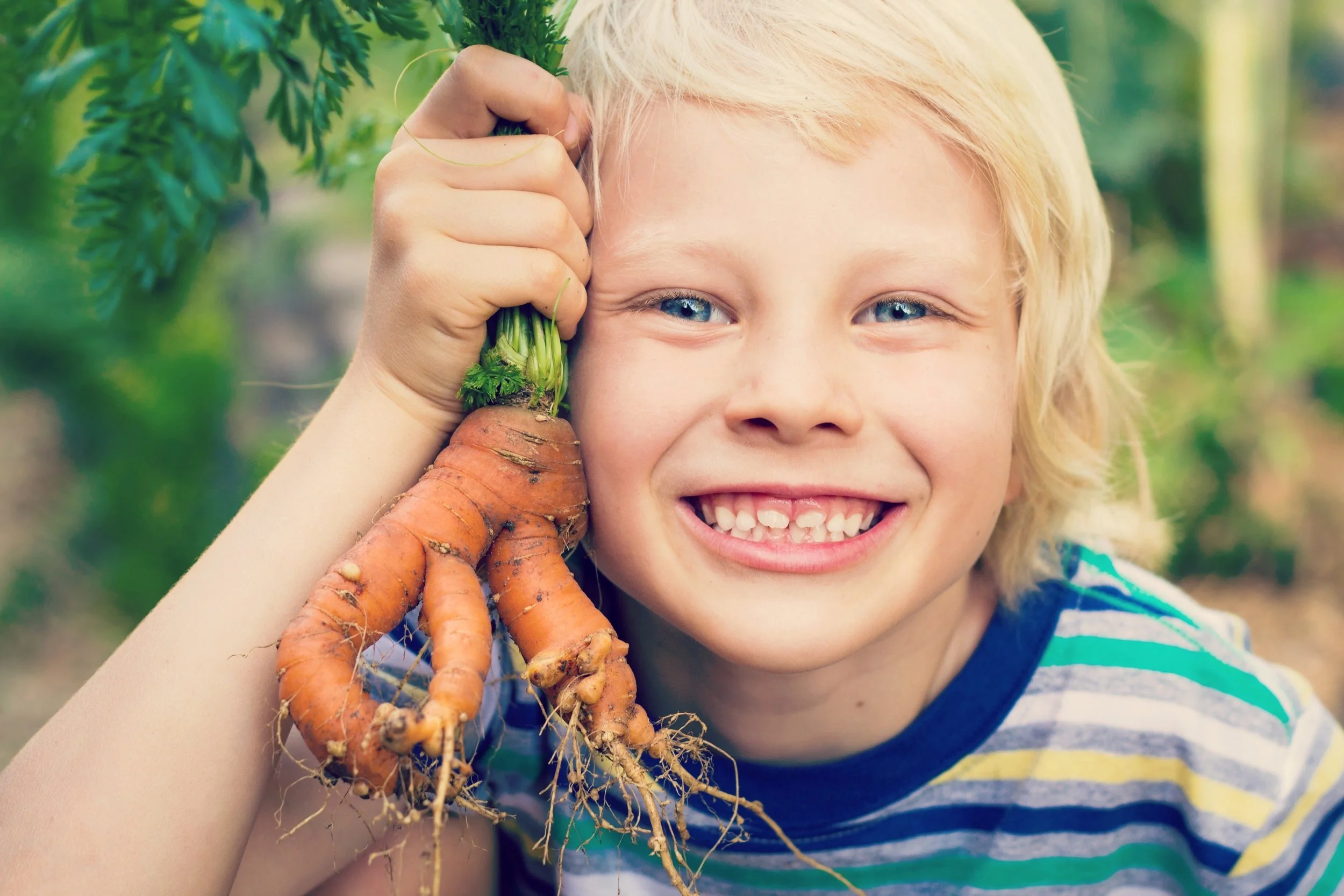 little-boy-with-carrot-soft.jpg