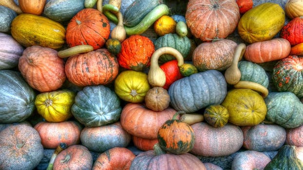 Squashes.jpeg