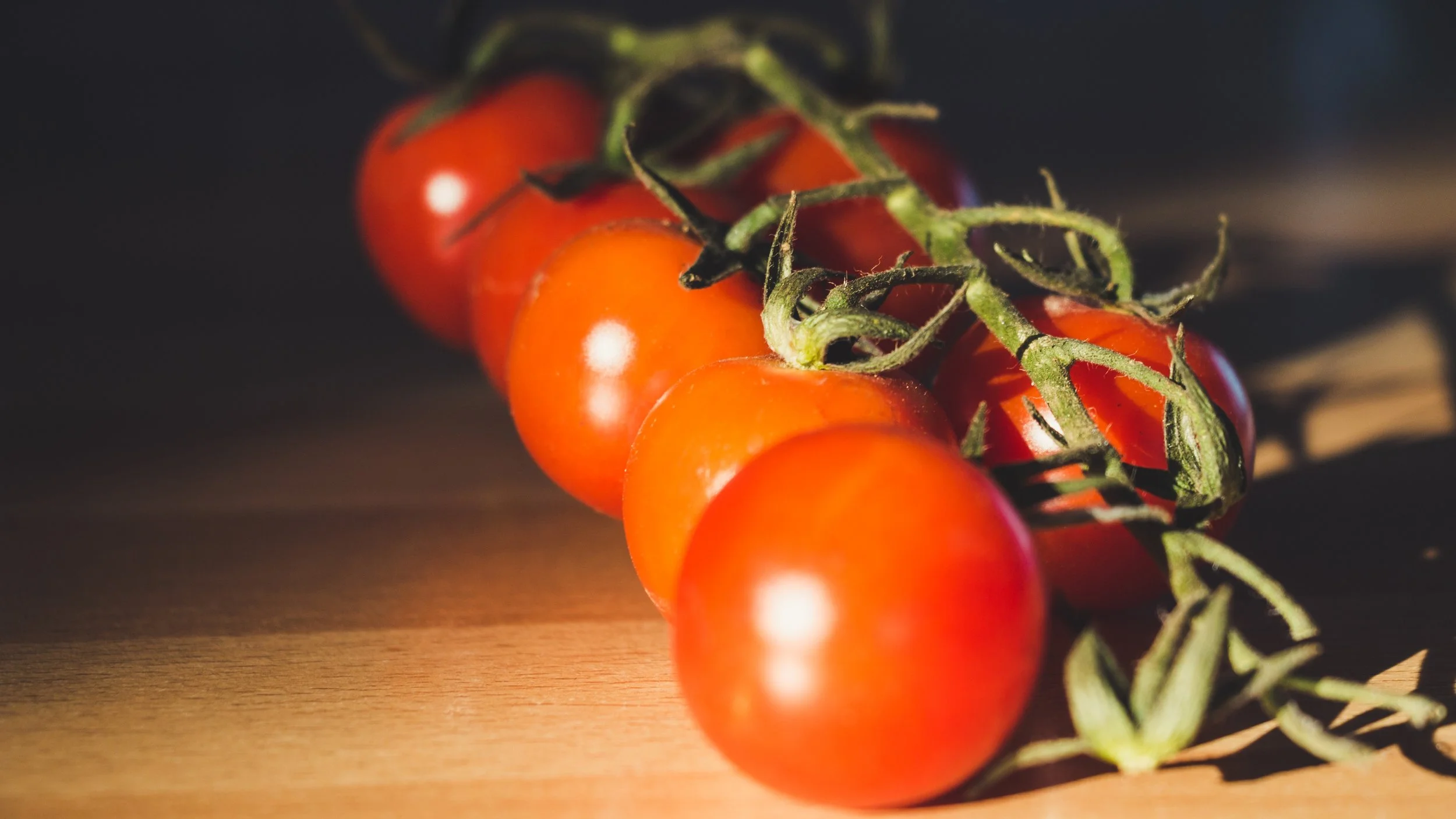tomatoes on vine.jpg