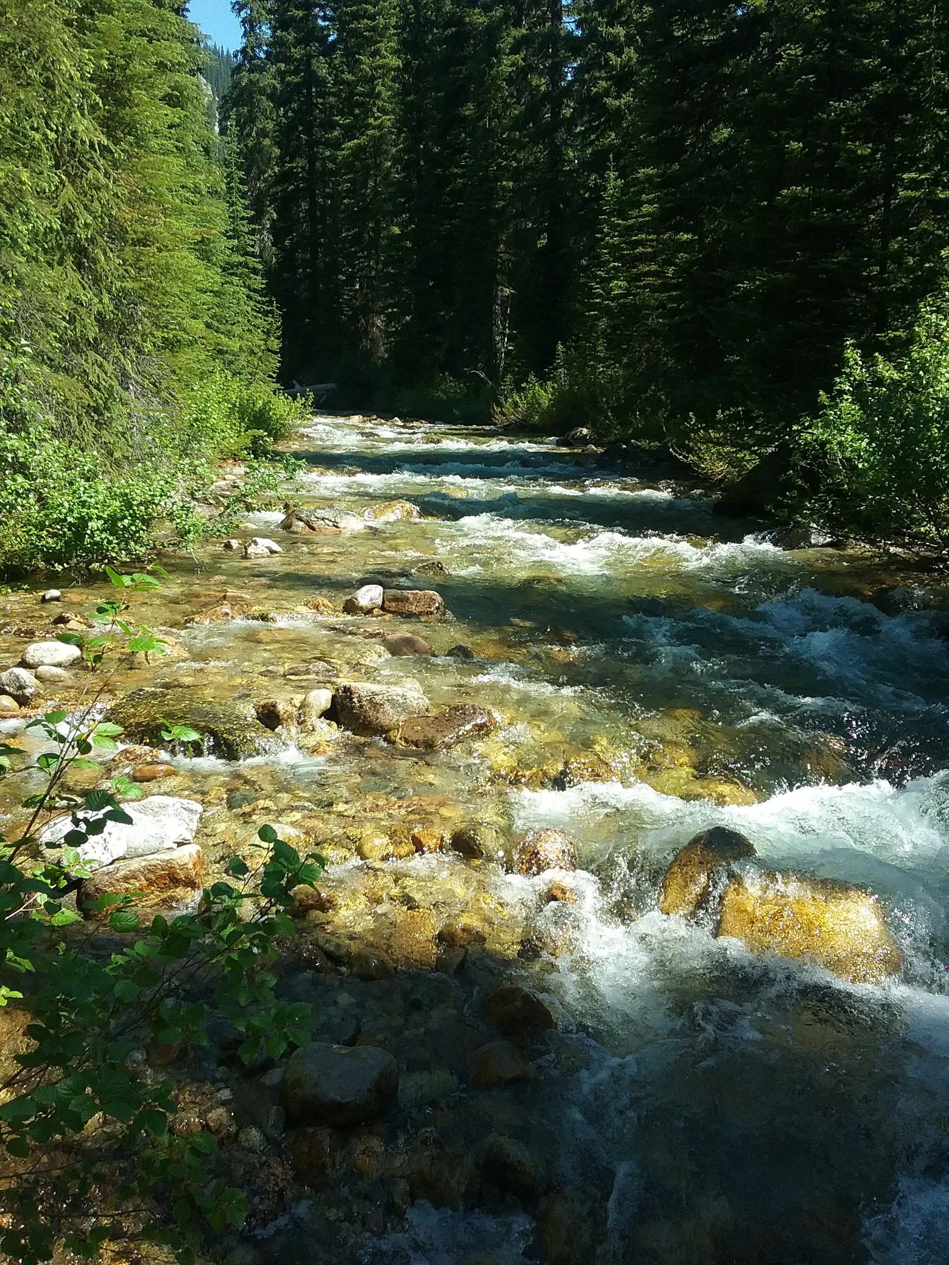 IMG_20170706_104646.jpg