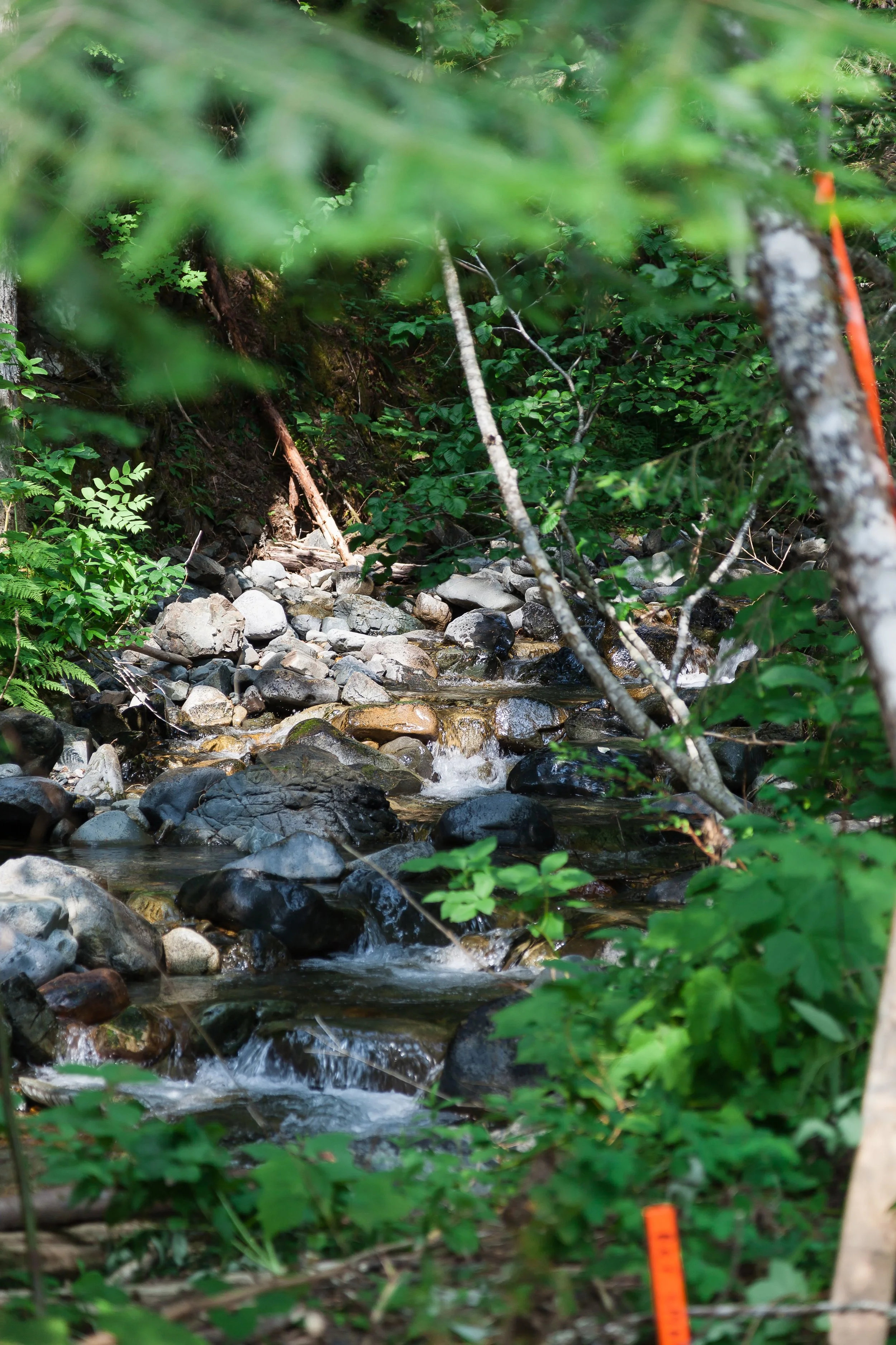 Sustainability_Banner_Creek.jpg