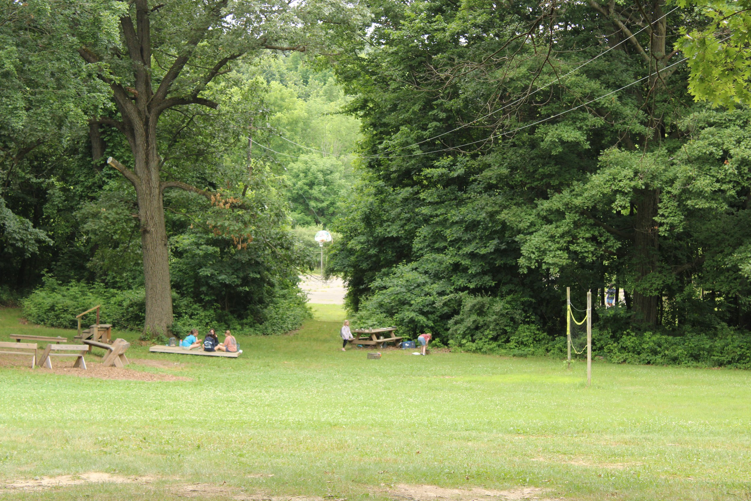 An open grass field ringed with trees. The field contains a volleyball net, benches, and an outdoor play-kitchen at a table. Children sit on platform under tree and play at mud kitchen.