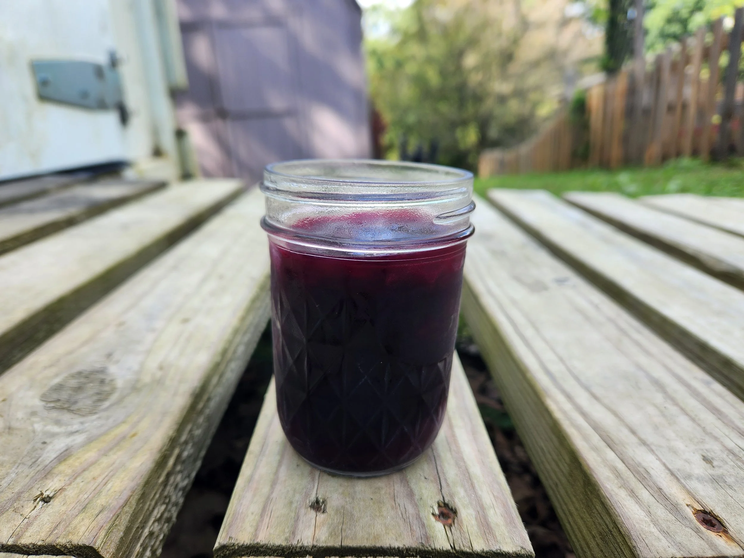 Elderberry Syrup 6 oz Jar — Skyline Camp and Retreat Center
