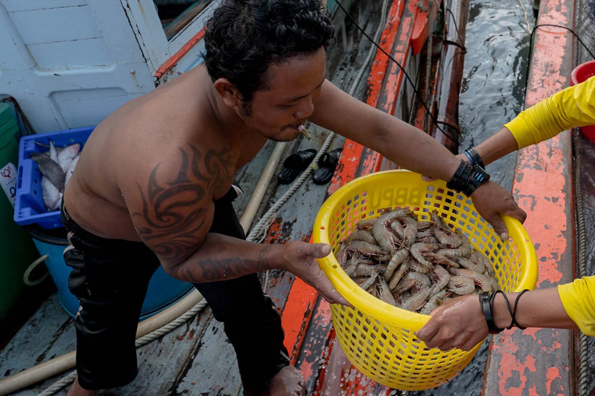 New technology could protect workers from unfair practices in Thailand’s seafood supply chain