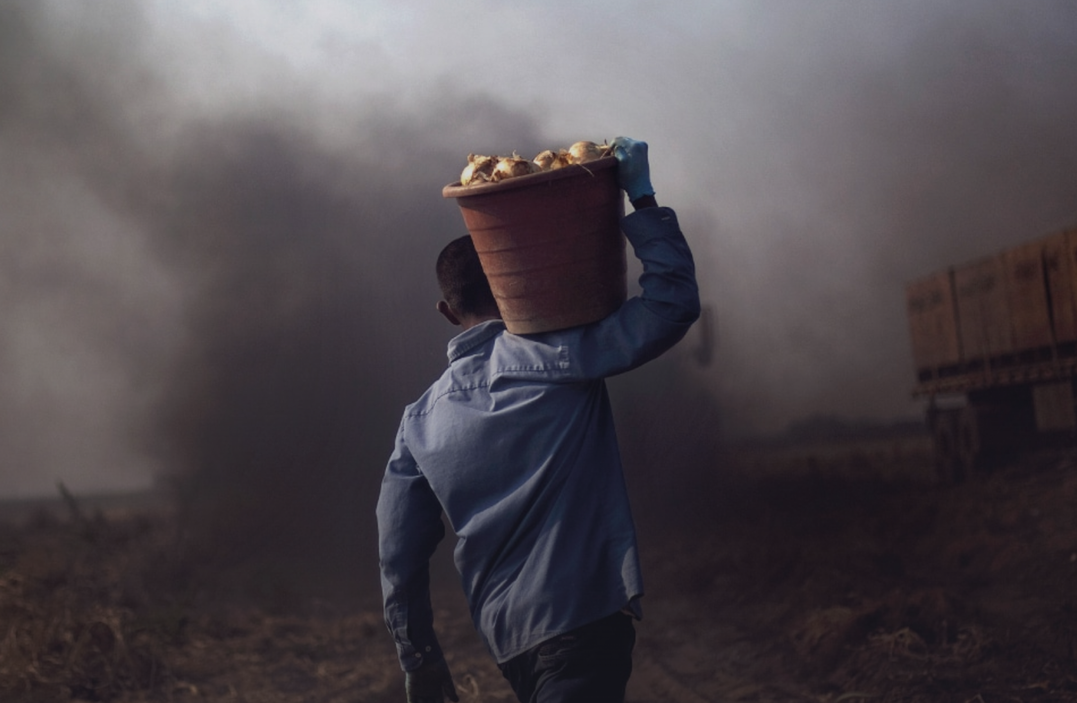 A federal grand jury in the U.S. has indicted dozens of people following an investigation into human trafficking and visa fraud