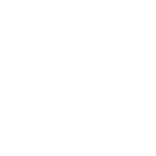 centre for domestic training and development_white.png