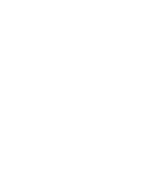 Fortify Rights white.png