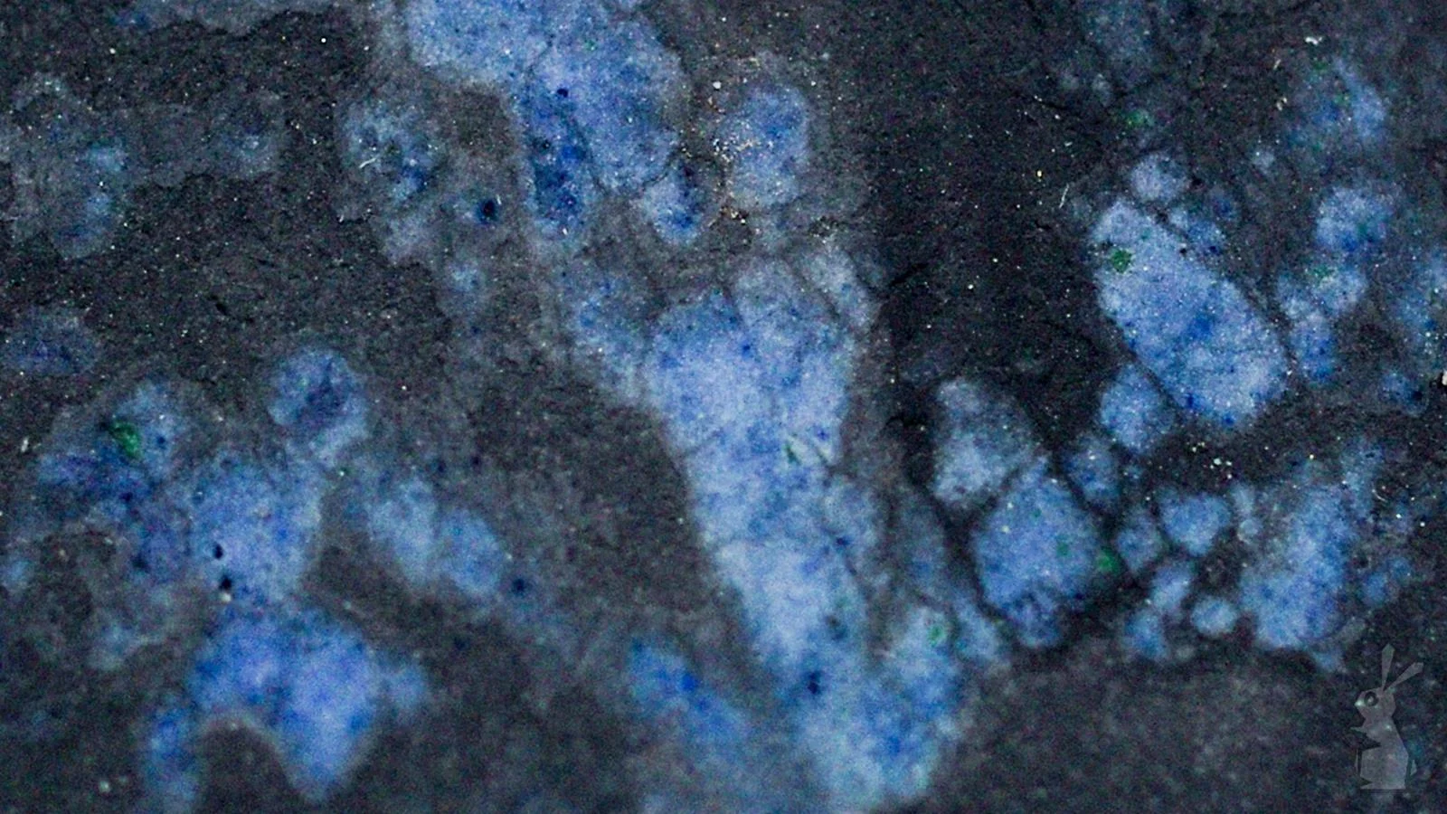 BUNNEH (2 of 42) (Copy).jpg