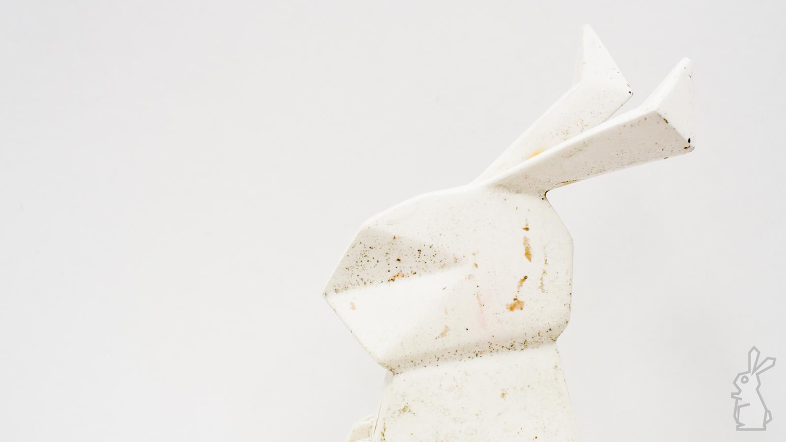 BUNNEH (1 of 1)-3 (Copy).jpg