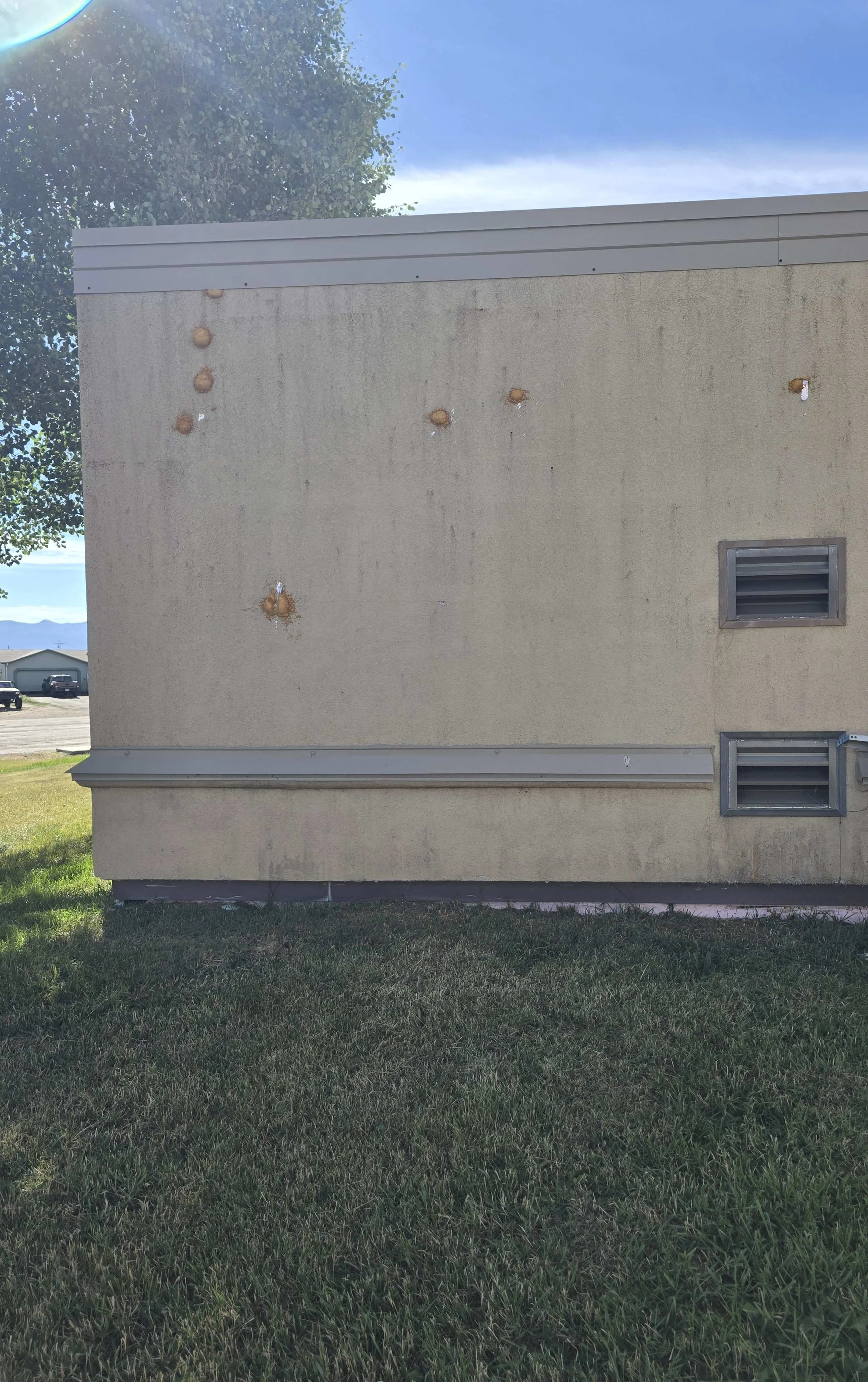 Walden Bird damage repair