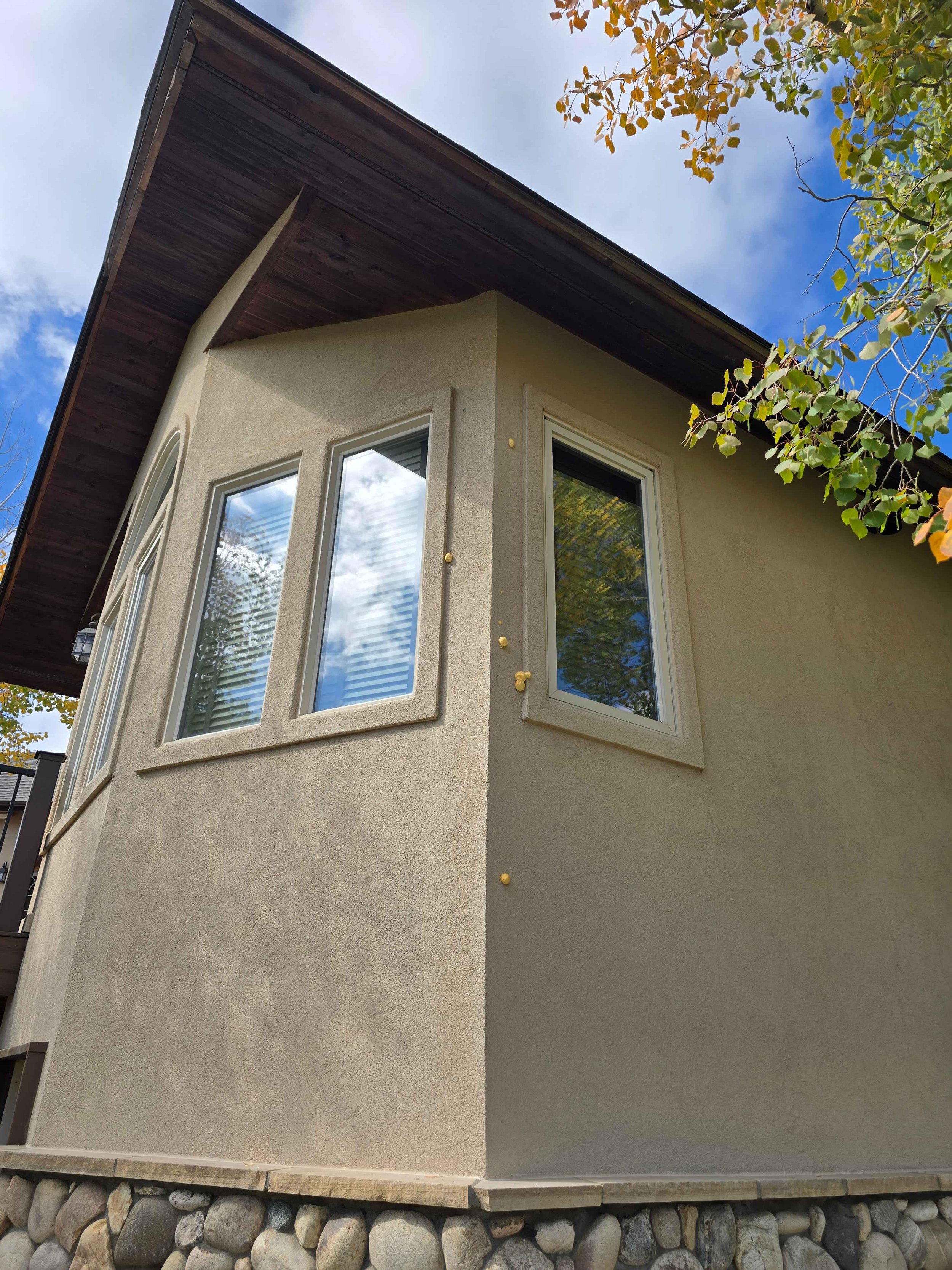 estes park colorado bird patch