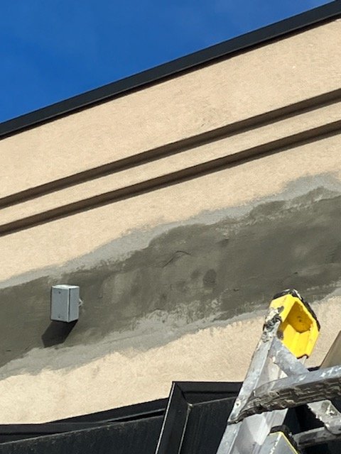 Ft Collins bird repair stucco