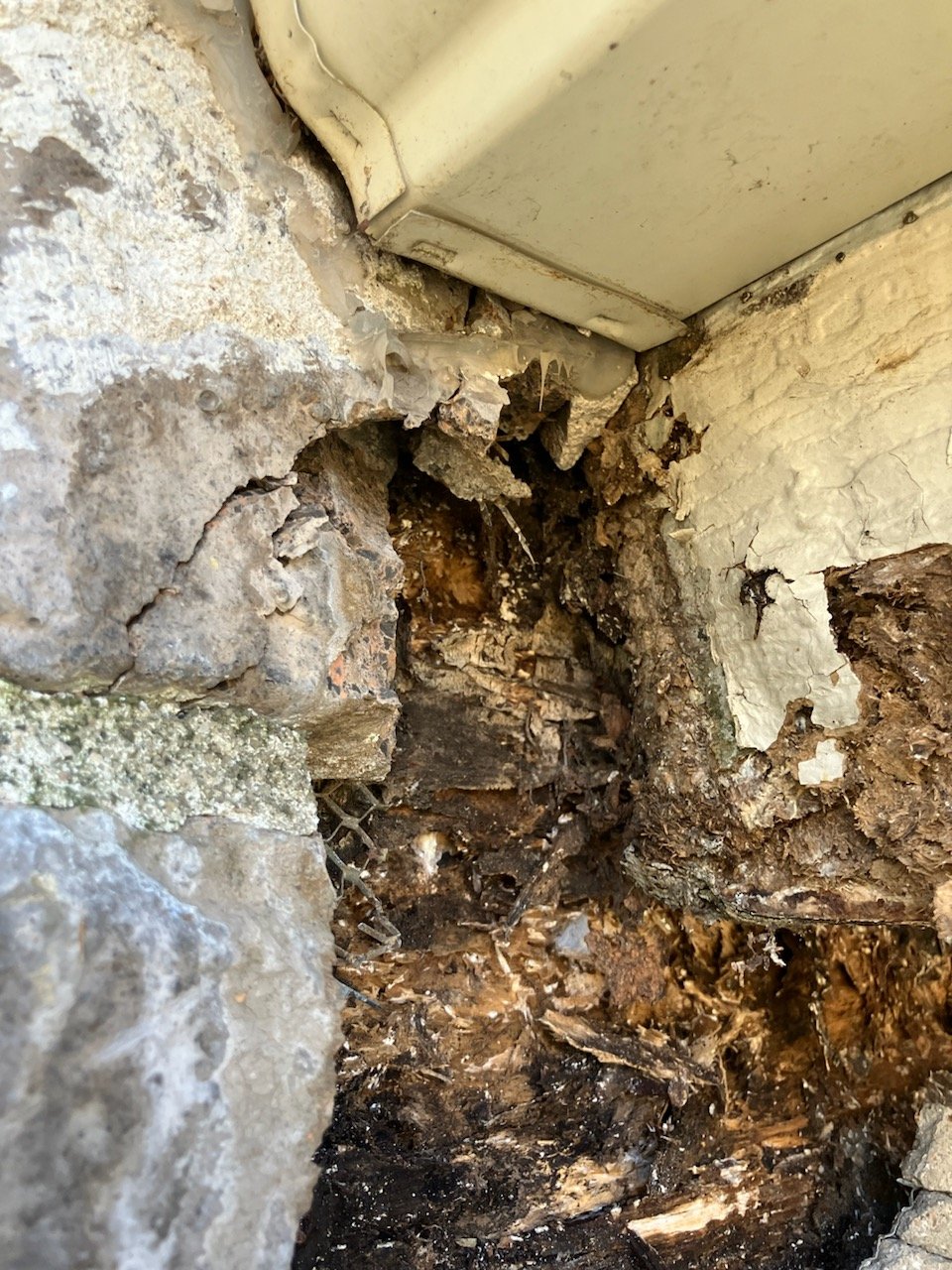 Denver Water damage professionals