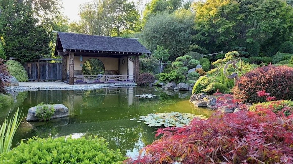 Great Nature: Breathwork, Meditation, &amp; Acupressure Day Retreat