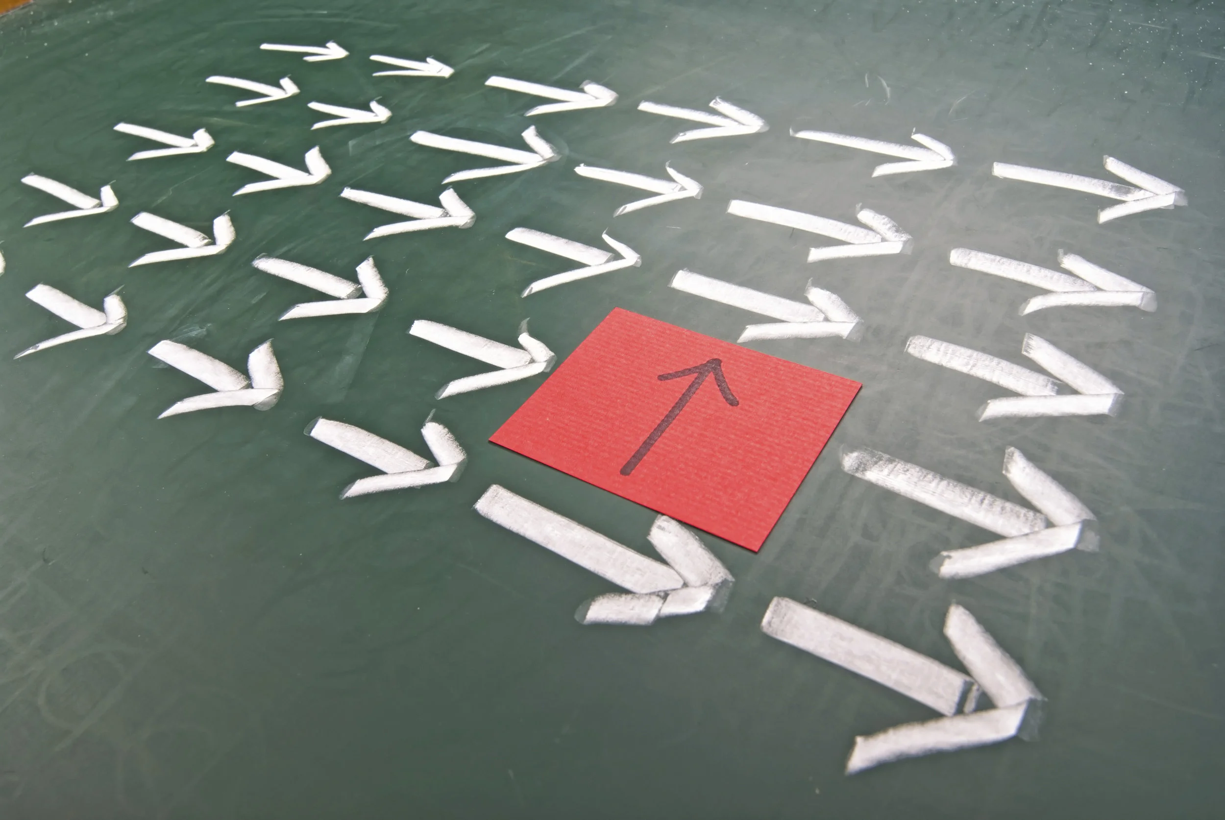 difference in the group (arrows).jpg