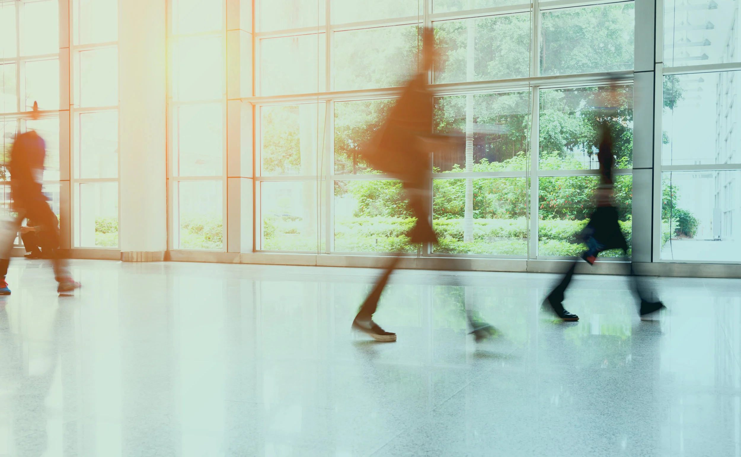 iStock-908304018.jpg