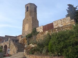 Sant_Pere_de_Reixac_-_008.jpg