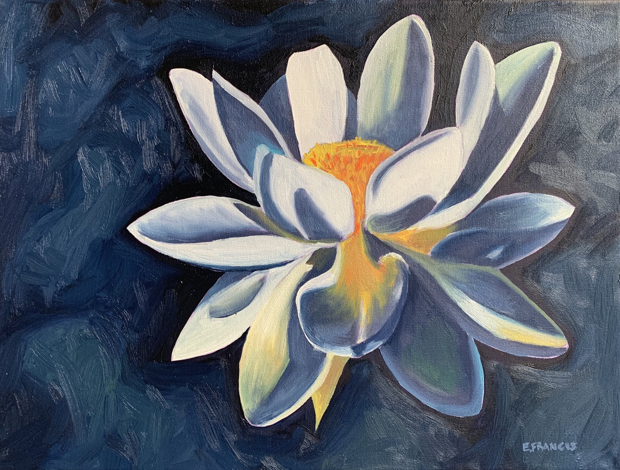 Lotus Flower
