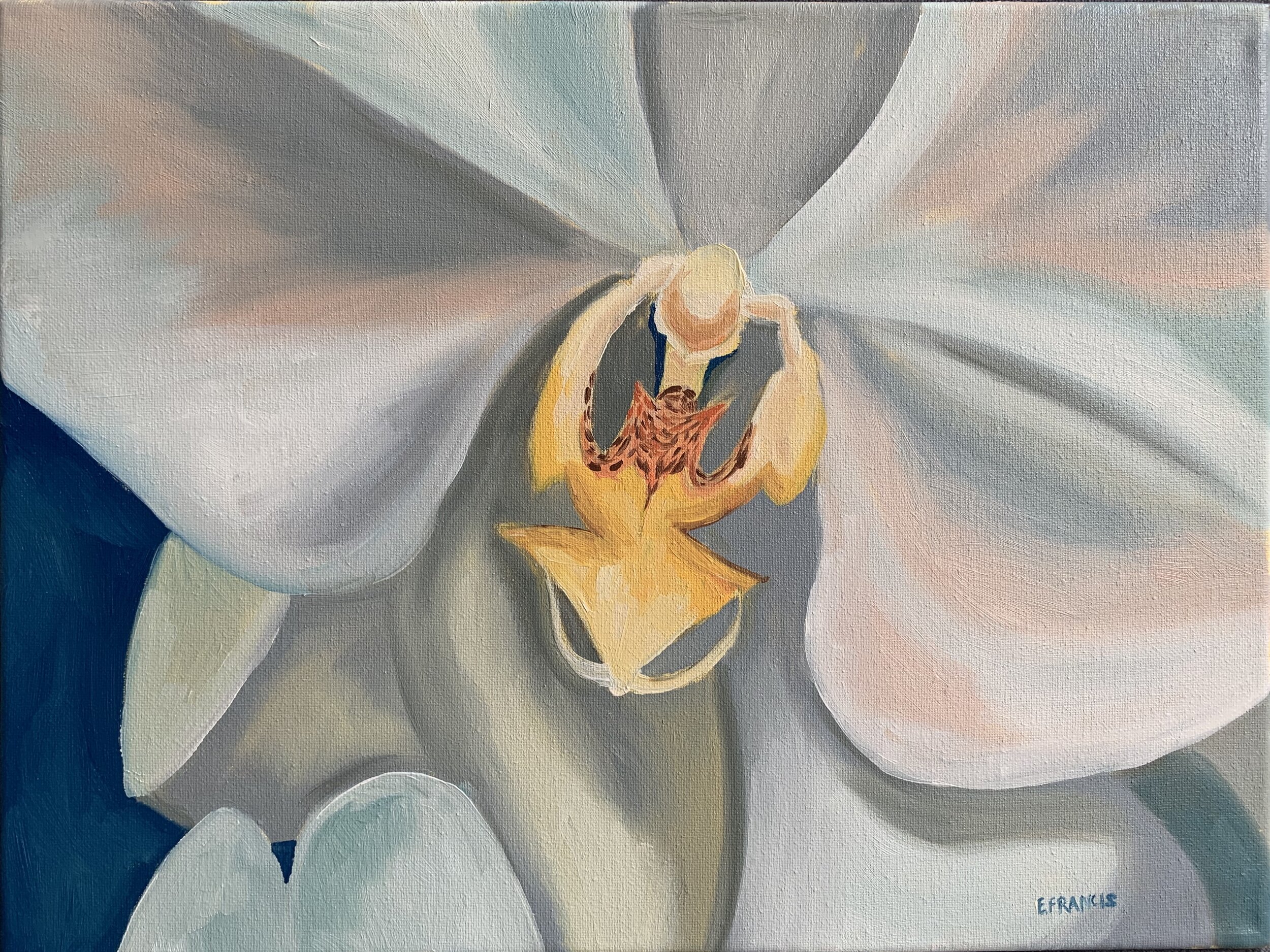 Orchid 1