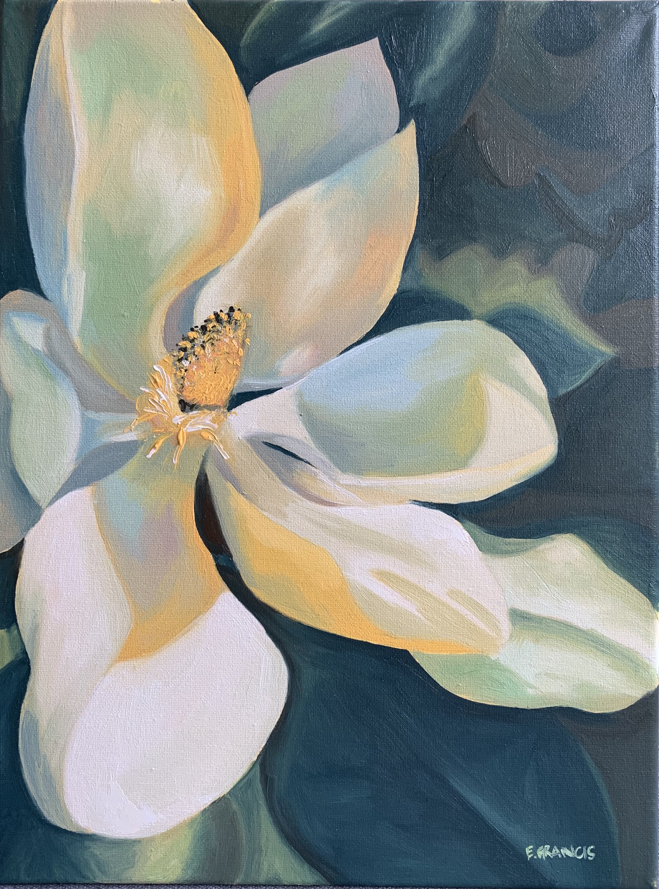 Magnolia