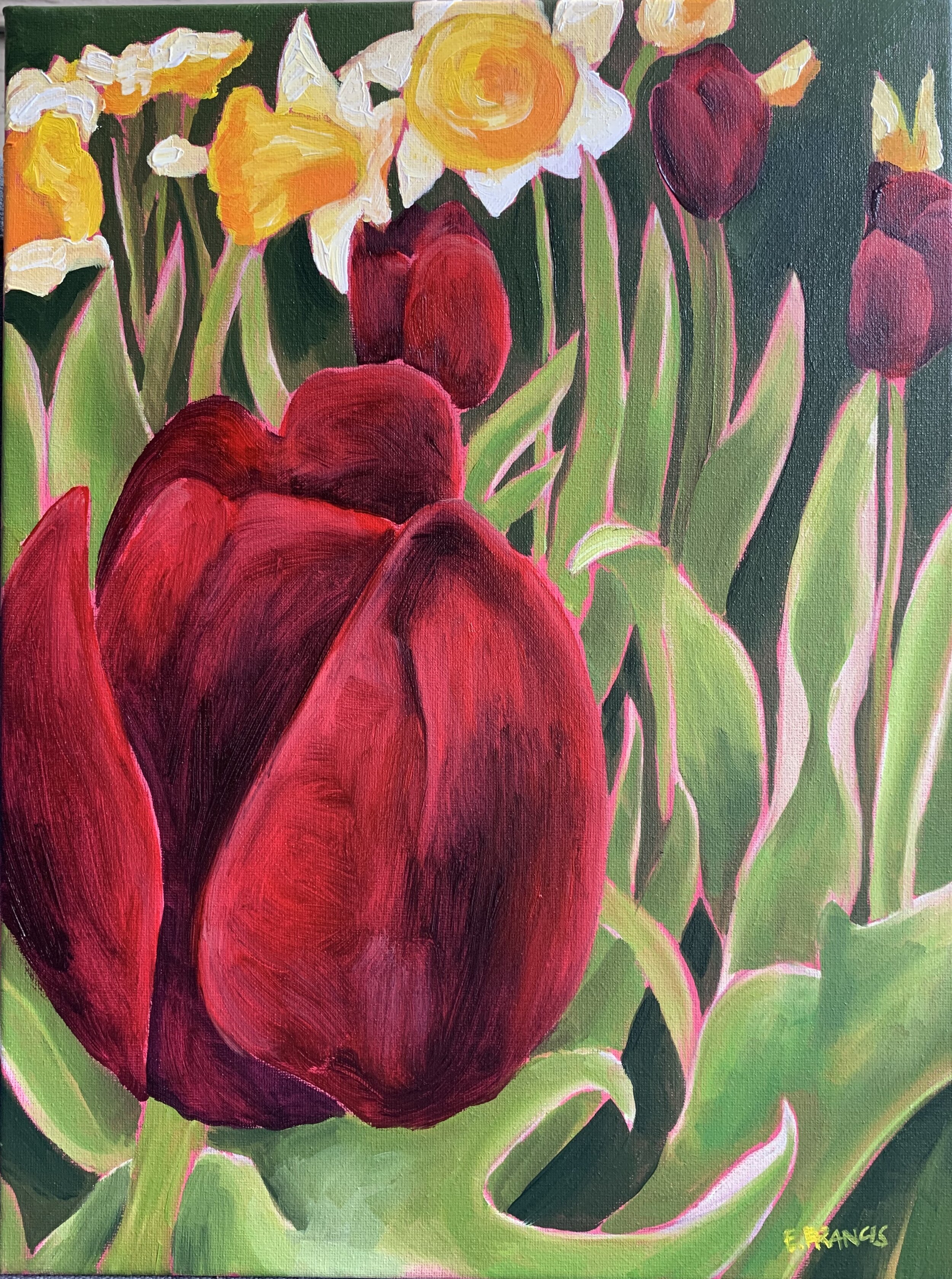 Tulips & Daffodils 2