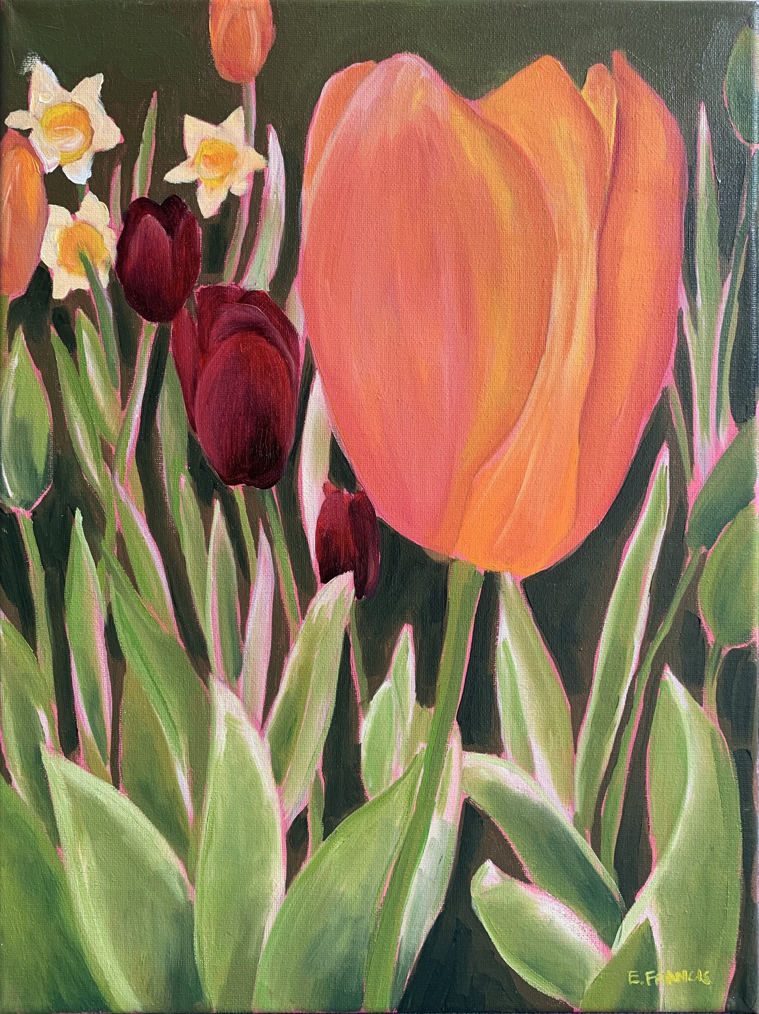 Tulips & Daffodils 1