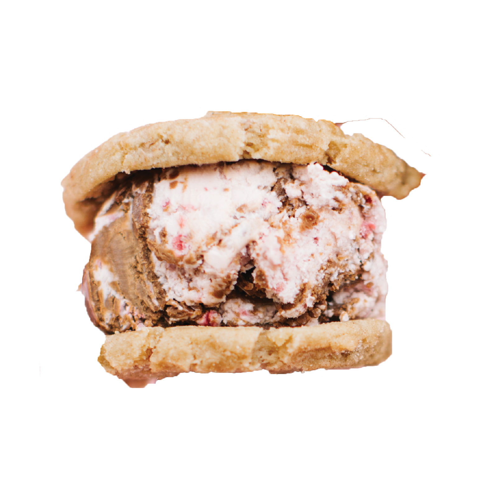 Ron Burgundy Snickerdoodle Cookies Strawberry Nutella Ice Cream