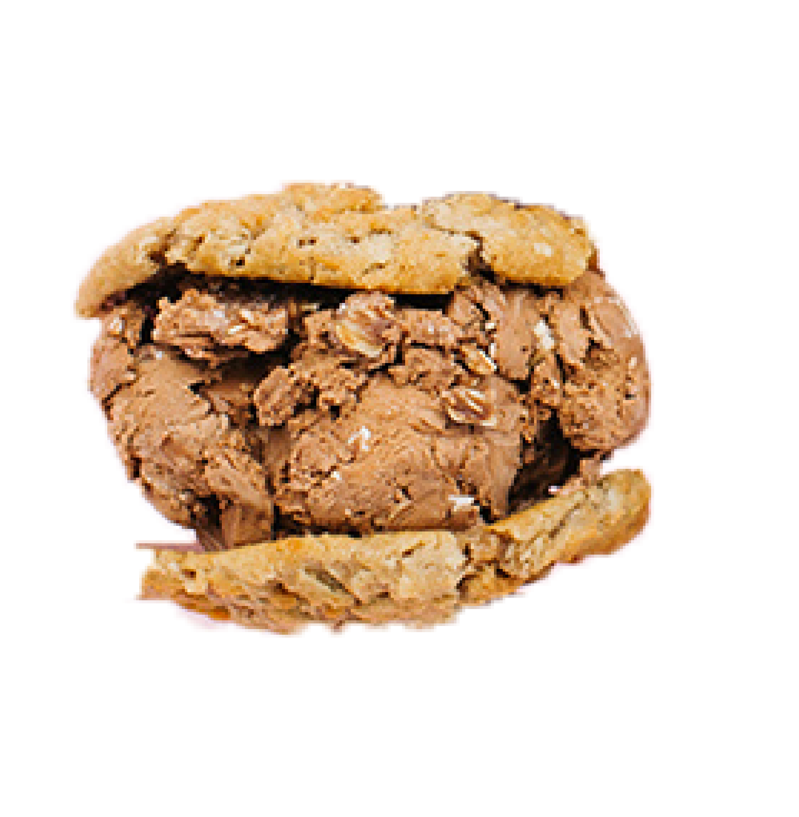 Half Baked Oatmeal Cookies No Bake Cookie Ice Cream