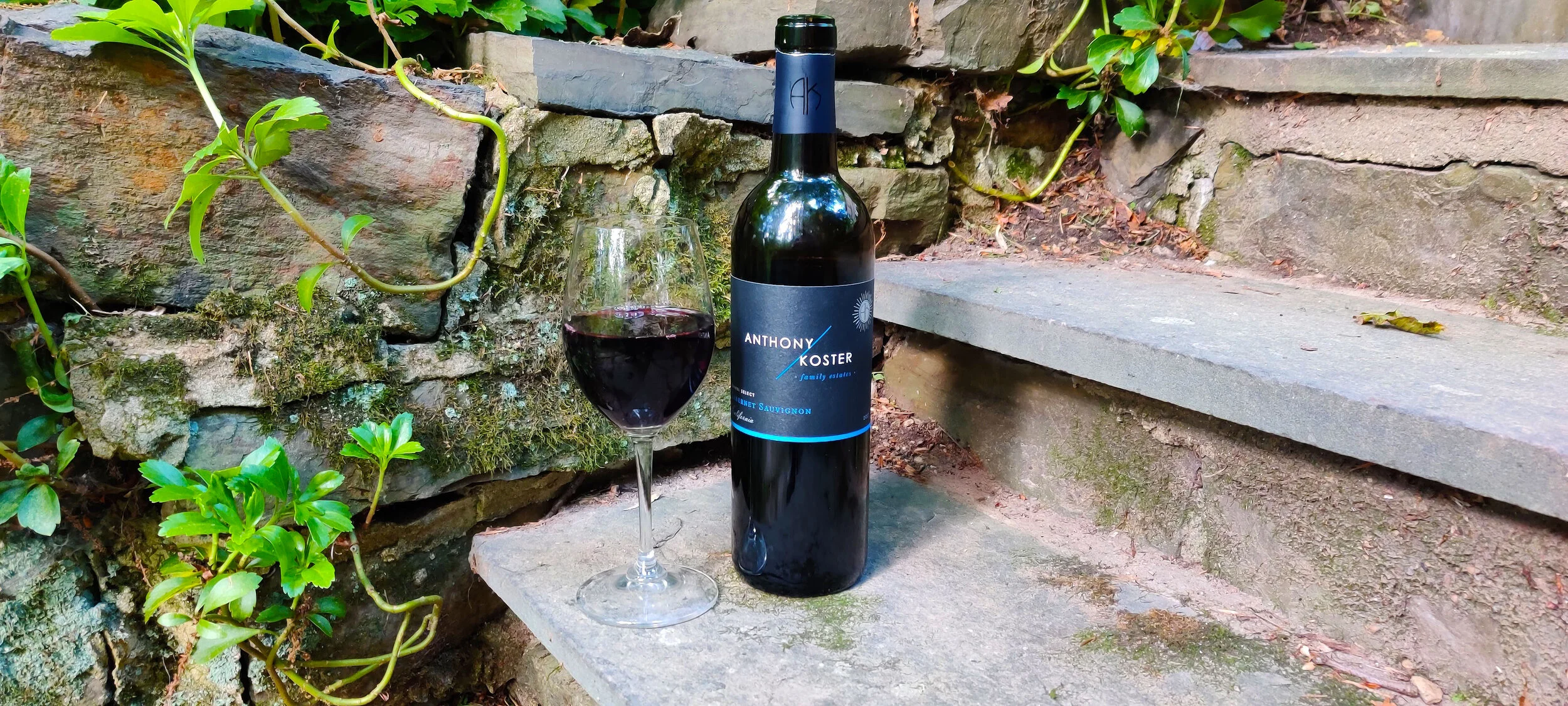 Anthony Koster Cabernet (Sonoma CA)