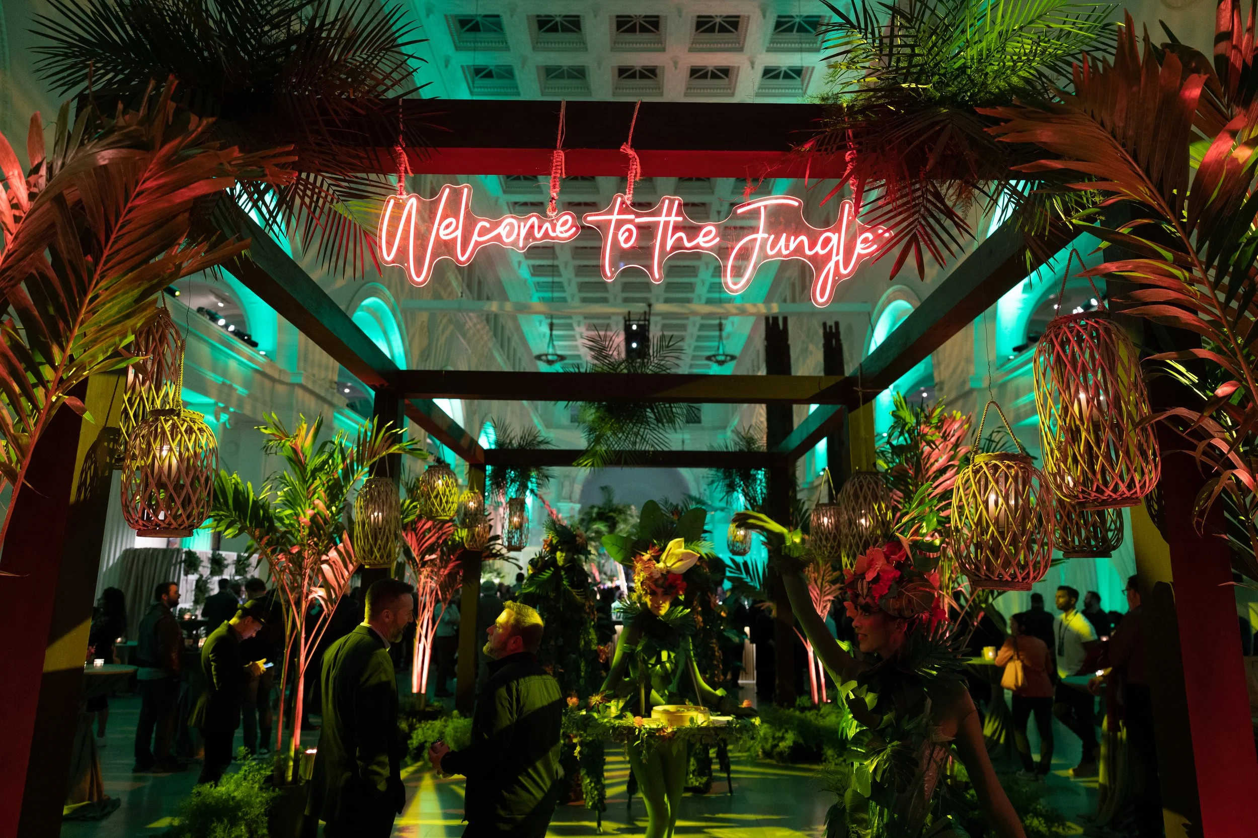 A Night in the Jungle