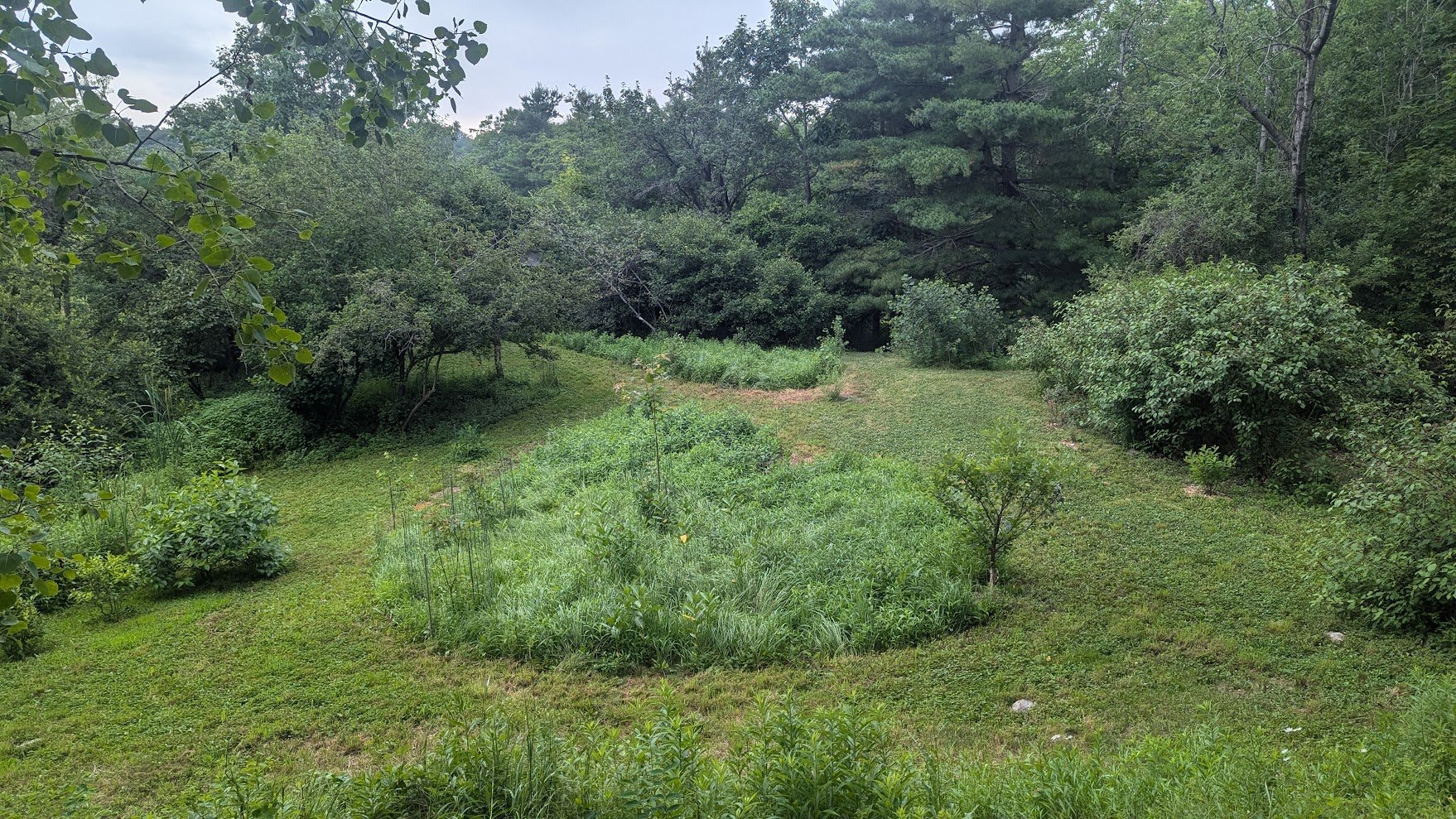 BACKYARD: