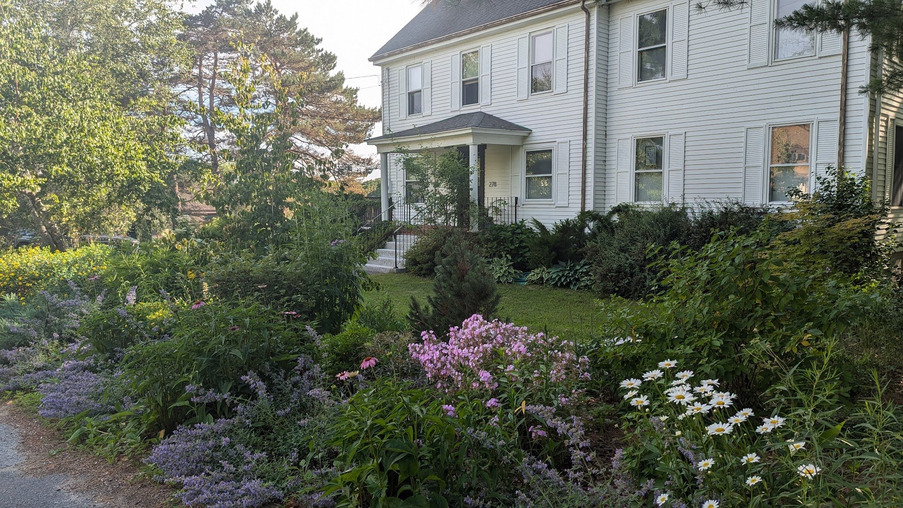 capisic frontyard-after.jpg