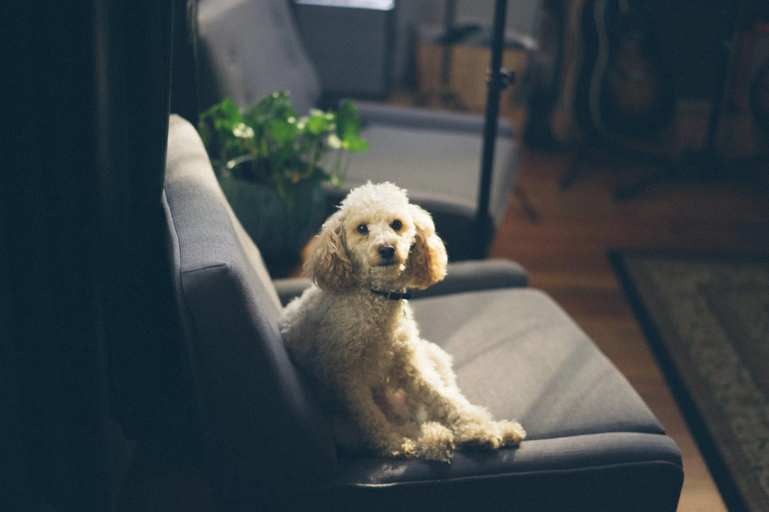 andrew-welch-59249-unsplash.jpg