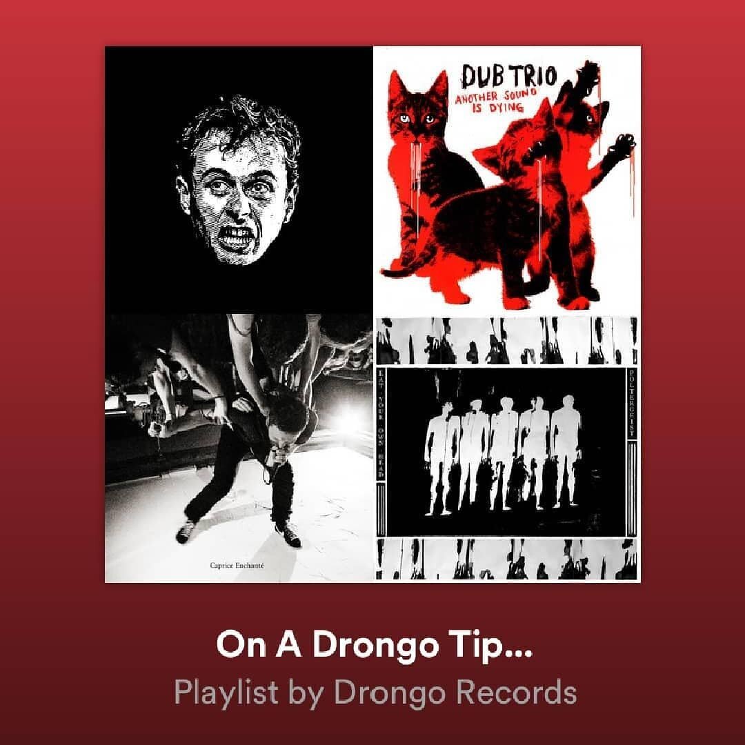Just been added to the @drongorecords playlist! Super stoked to be featured alongside some sick artists! Get it in your ears with the link below! 

https://open.spotify.com/playlist/3FOPIuIuI4Pd3fBElG62w9?si=sQlOsf58T9i1bcIQuurQXA

#drongorecords #ra