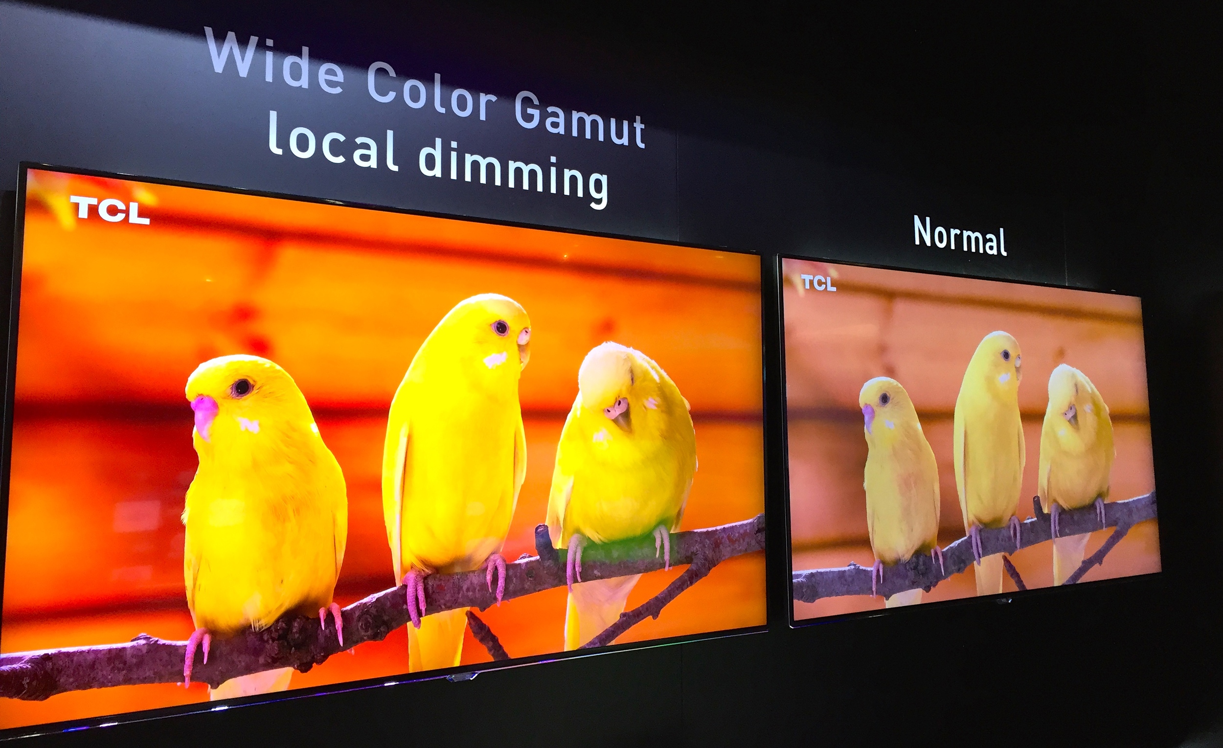 TCL showed off a beautiful local dimming Wide Color Gamut UHD TV with Quantum Dot technology from Nanosys and 3M at CES 2015. This set featured gorgeous color and high dynamic range for a lifelike image.